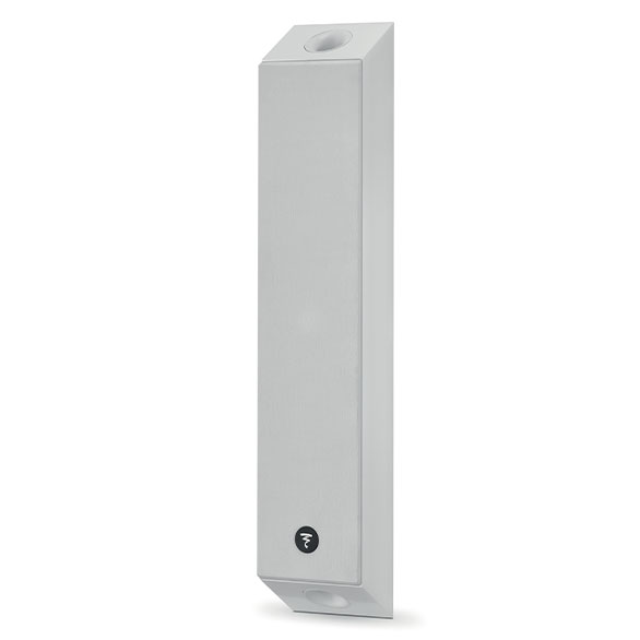 Focal On Wall 301