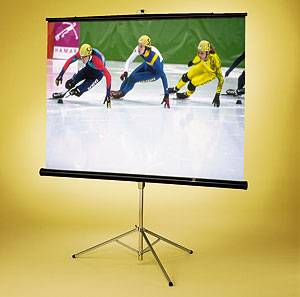 Экран Diplomat NTSC (3:4) 244/96" (100", 8') 152*203 XH800E