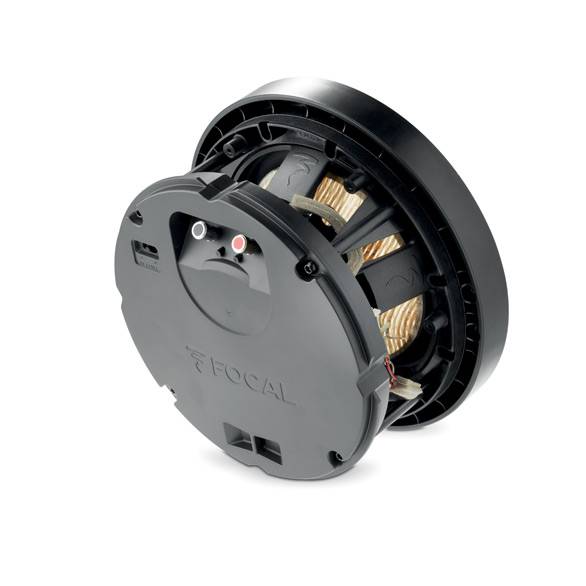 Focal 300 ICW 8