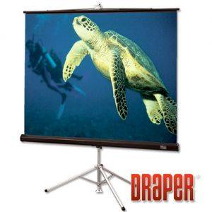 Экран Draper Diplomat NTSC (3:4) 213/84" (7') 127*169 MW
