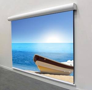Экран Adaptive Electric NTSC (4:3) 325/128" 195*260 XT1000E