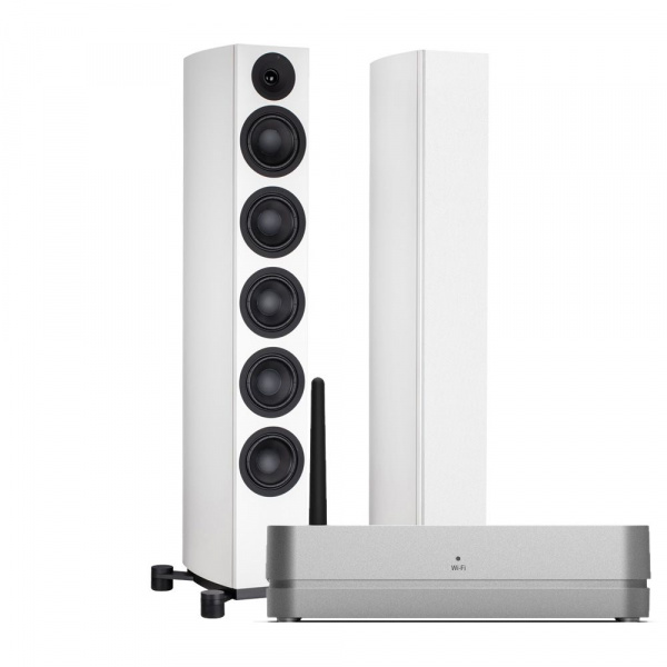 System Audio SA legend 60.2 silverback + Stereo Hub