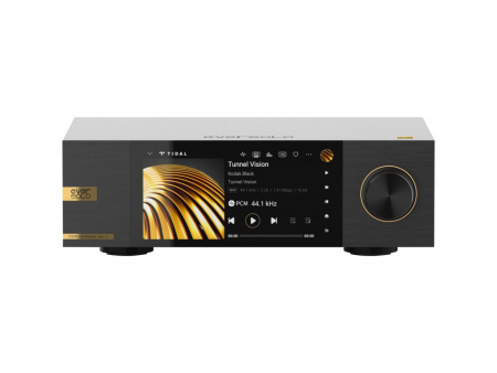 Сетевой проигрыватель Eversolo DMP-A6 Master Edition Gen 2