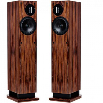ProAc Response D20R