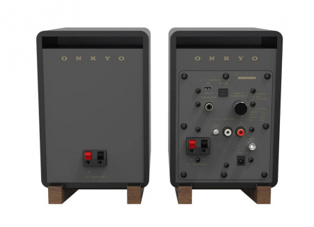 Onkyo GX-10DB активная беспроводная акустика