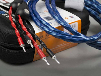 Wireworld Oasis 8 Speaker Cable 2.0m