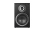 Полочная акустика Premiera DELTA DS-601