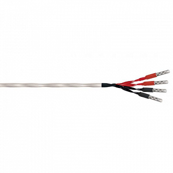 Wireworld Solstice 8 Biwire Speaker Cable 2.5m
