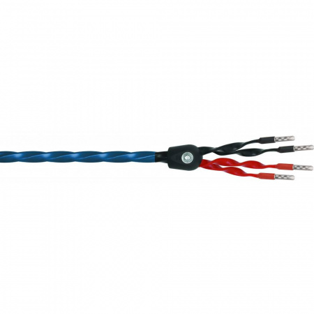 Wireworld Oasis 8 Biwire Speaker Cable 2.5m