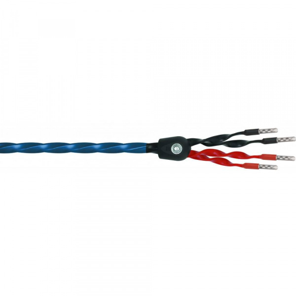 Wireworld Oasis 8 Biwire Speaker Cable 2.5m