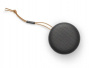 Bang & Olufsen Beosound A1 2nd Gen
