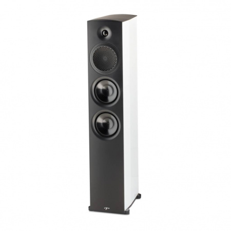 Paradigm Premier 800F