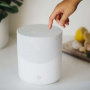 Bluesound Pulse M White