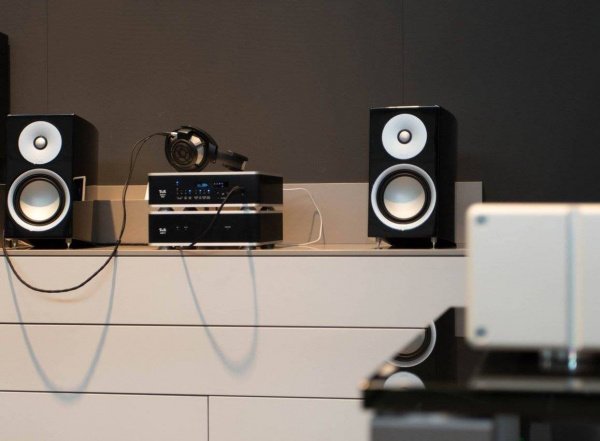 T+A Pulsar Loudspeaker R 20