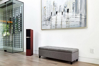 Martin Logan Motion 20i