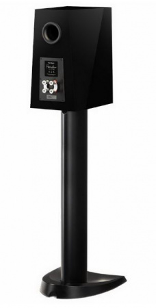 Paradigm Founder 40B