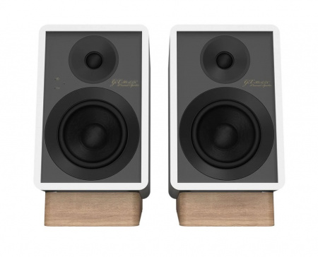 Onkyo GX-30ARC активная беспроводная акустика