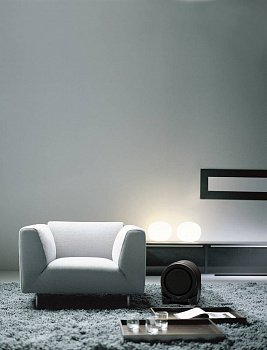Paradigm Seismic 110