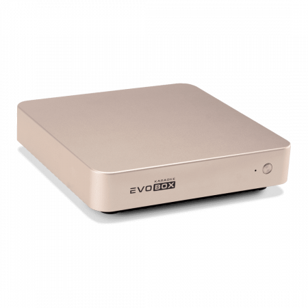Караоке-система для дома Evolution EVOBOX Plus v.2