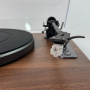 Phaze Audio Diana MK2 Walnut