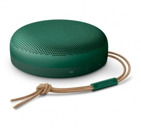 Bang & Olufsen Beosound A1 2nd Gen