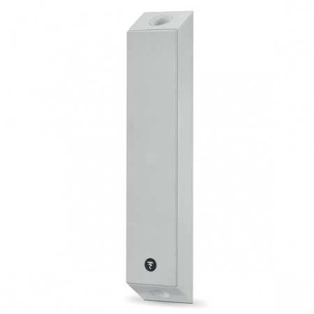 Focal On Wall 301