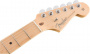 Fender AM PRO Strat MN ATO