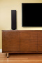 Martin Logan Motion SLM
