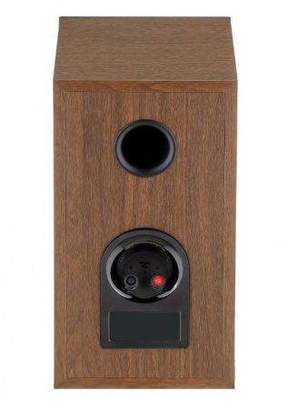 Focal Theva №1