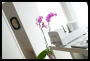 Trafomatic Audio Aries