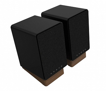 Onkyo GX-30ARC активная беспроводная акустика