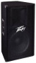 Peavey PV 115