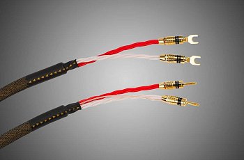 Tchernov Cable Reference DSC SC Sp/Bn 2.65 m