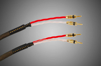 Tchernov Cable Reference DSC SC Bn/Bn 3.1 m