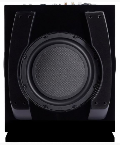 REL Carbon Special