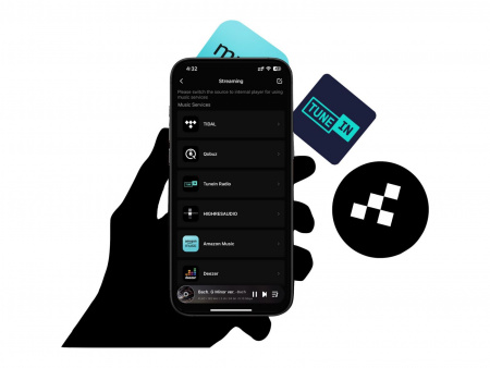 Сетевой проигрыватель EverSolo DMP-A10