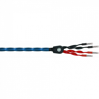 Wireworld Oasis 8 Biwire Speaker Cable 3.0m