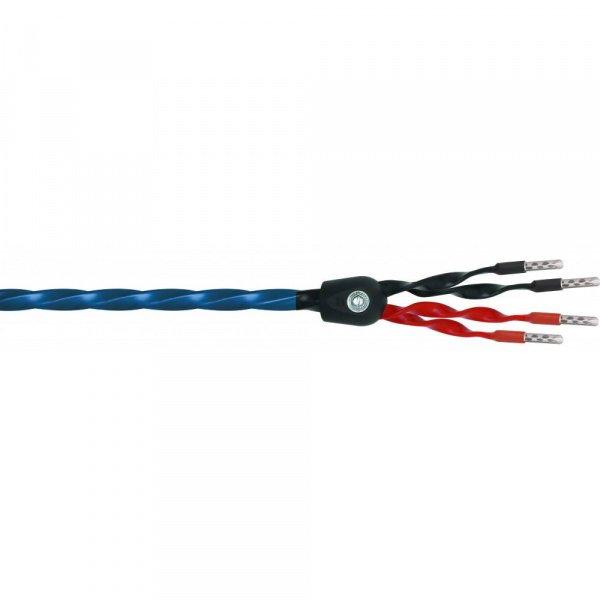 Wireworld Oasis 8 Biwire Speaker Cable 3.0m