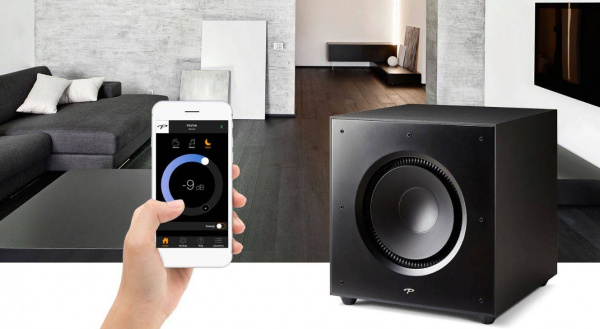 Paradigm Defiance X12