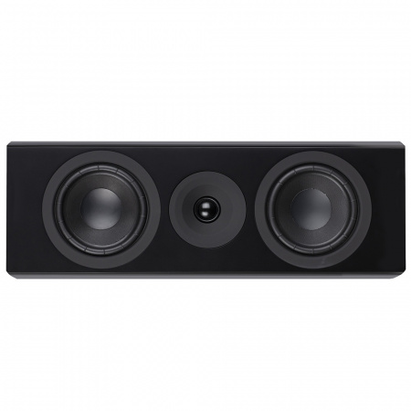 System Audio SA Legend 10.2 silverback