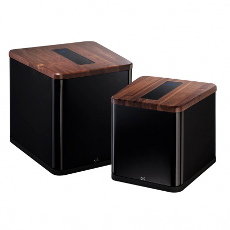 Martin Logan BalancedForce 210