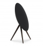 Bang & Olufsen Beosound A9 5th Generation Black Anthracite
