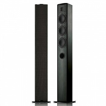 Piega TMicro 60 AMT
