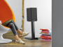 Focal Theva №1