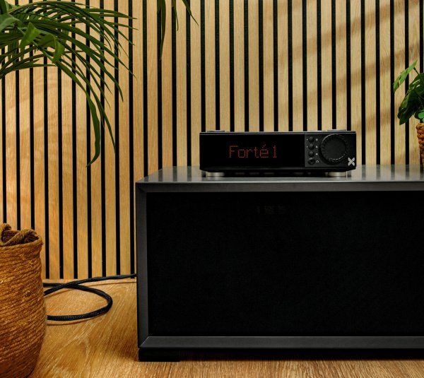Axxess Forte 1