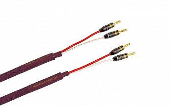 Tchernov Cable Classic MkIII SC Bn/Bn 1.65 m