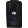 Peavey PV 115
