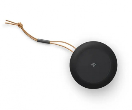 Bang & Olufsen Beosound A1 2nd Gen
