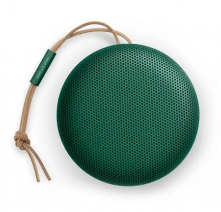 Bang & Olufsen Beosound A1 2nd Gen