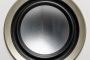 Martin Logan Motion Foundation F1